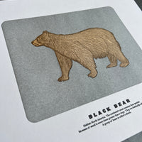 Black Bear Print