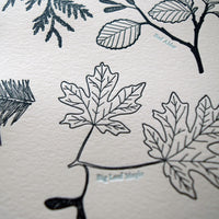 Pacific Northwest Tree Chart