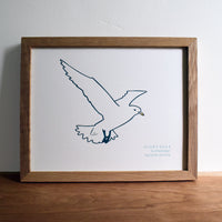 Ivory Gull Print