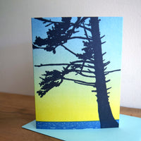 Sitka Spruce Card