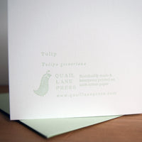Tulips Card (Lavender)