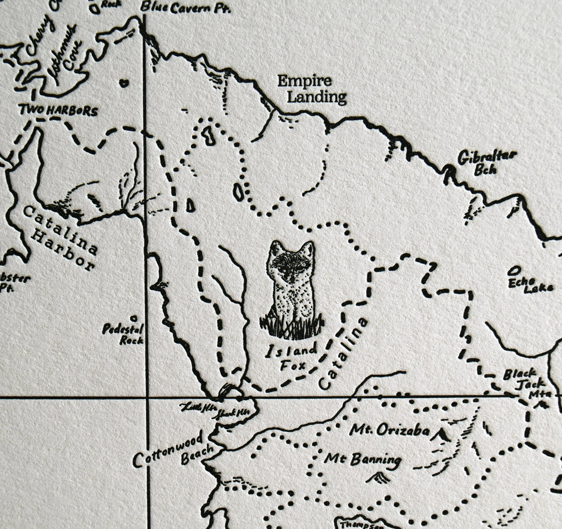 Catalina Island California Natural Landscape Map letterpress wallart