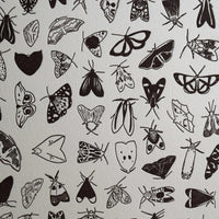 Chart of moth species hand-drawn printed on letterpress in black ink
