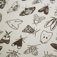 Letterpress art print depicting varieties of moths in black ink printed on Vandercook Universal I letterpress