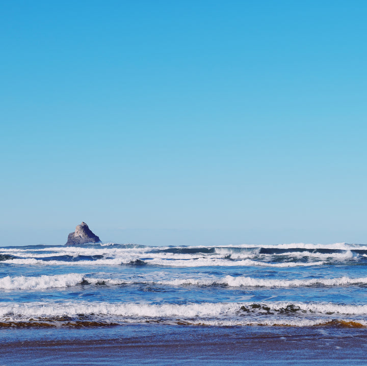 The Coast