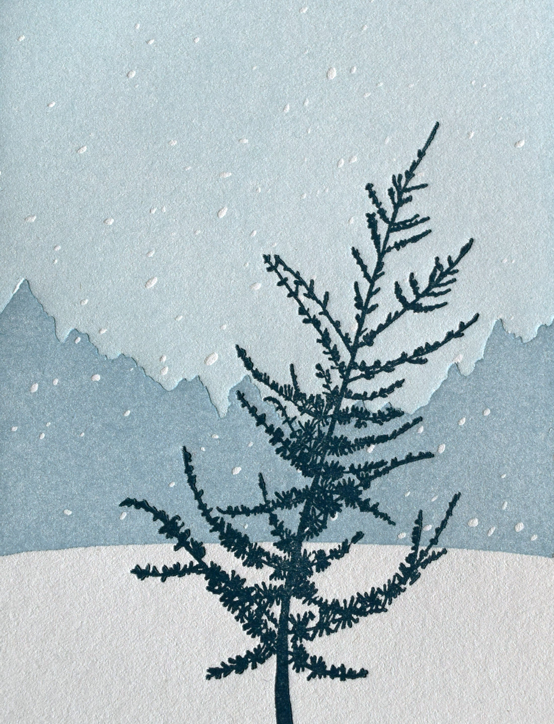 Snow on Cedar Card