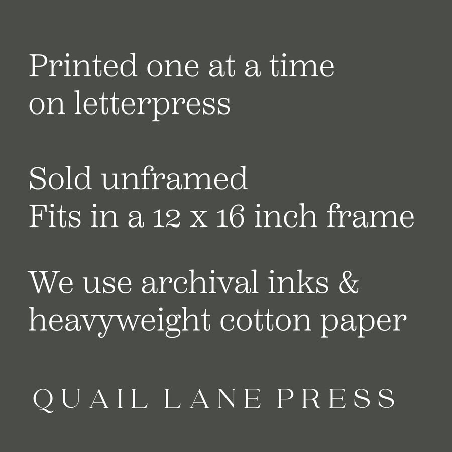 Ferns, Letterpress Print, Chart