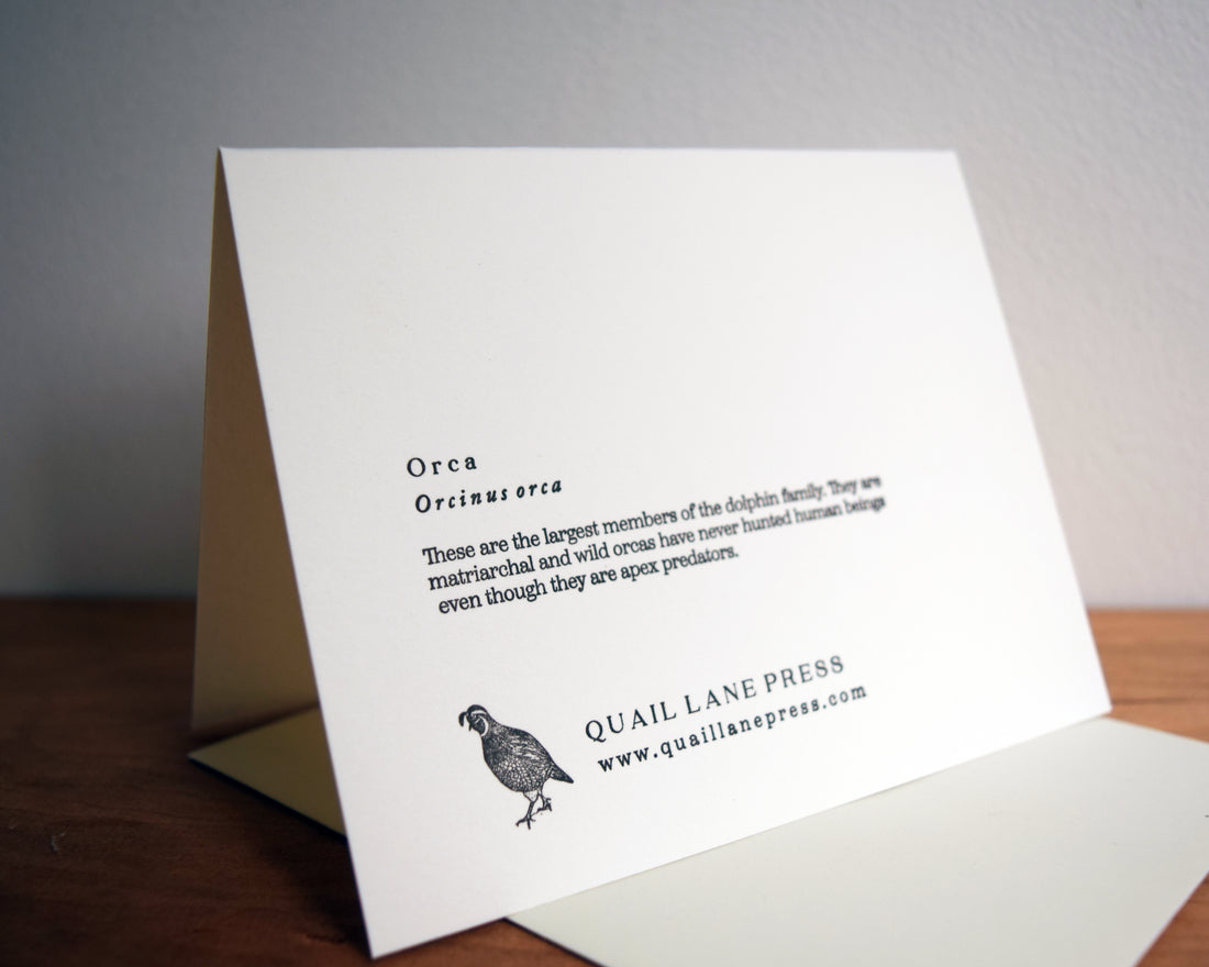 Orca Card
