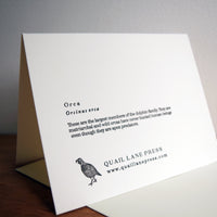 Orca Card