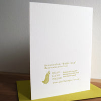 Ranunculus Flower Card