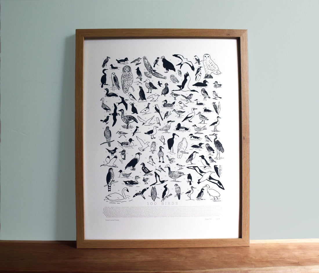 100 Illustrated Birds Print