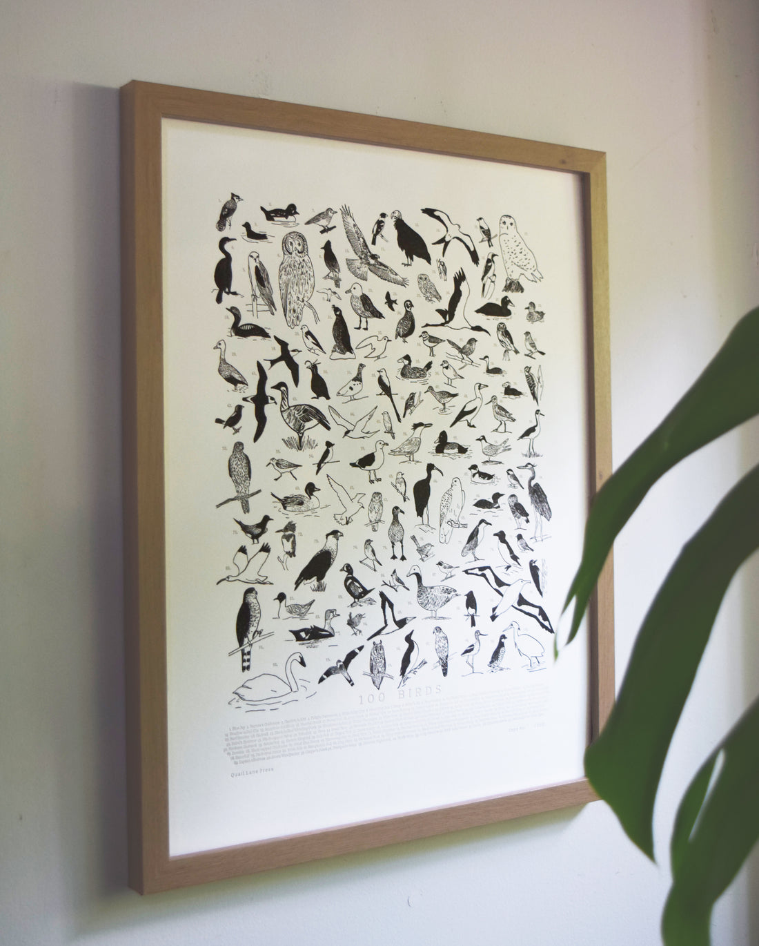 100 Illustrated Birds Print