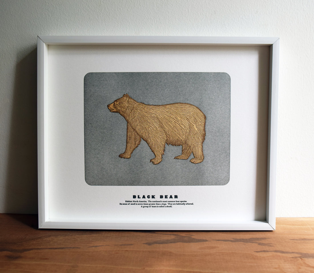 Black Bear Print