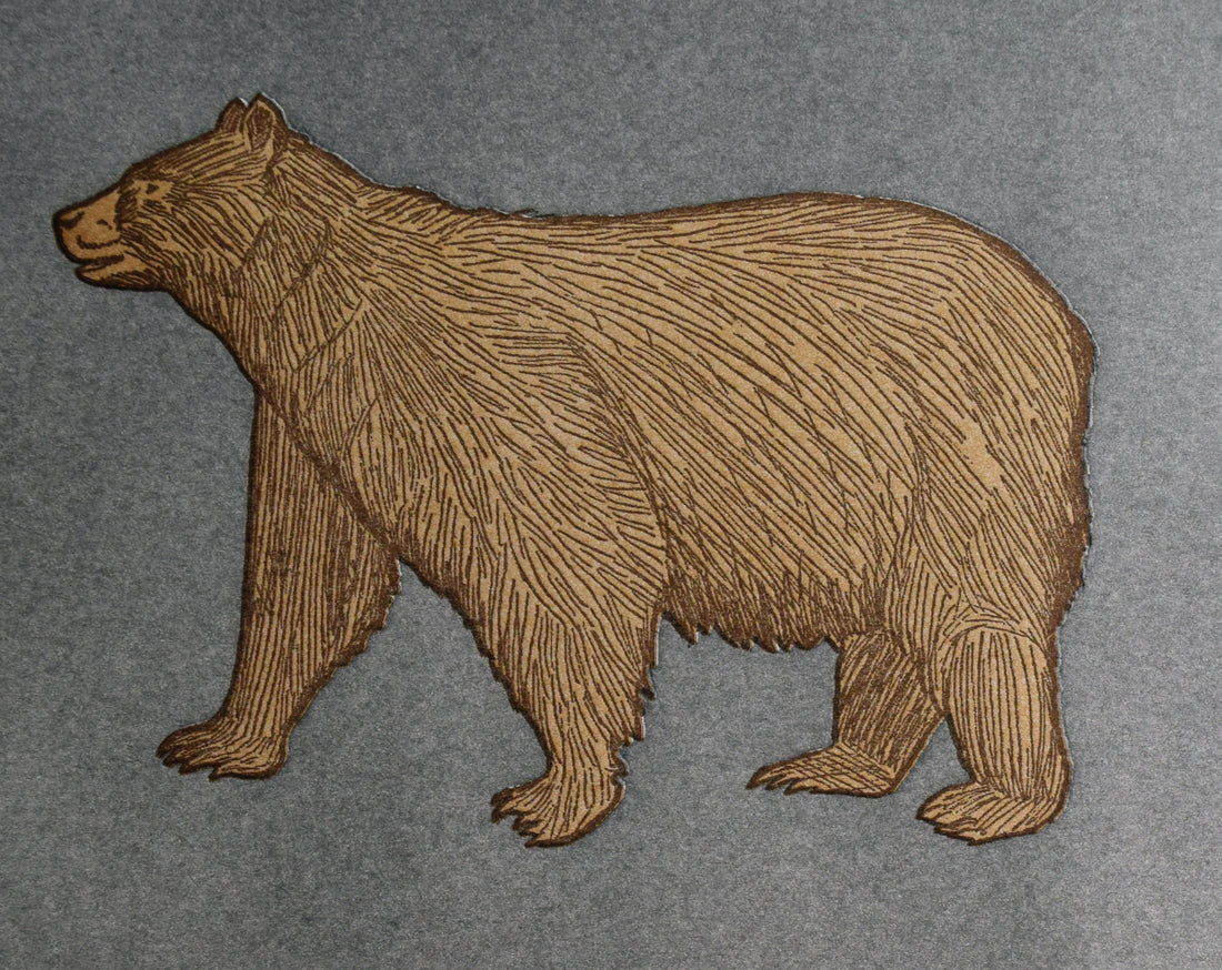 Black Bear Print