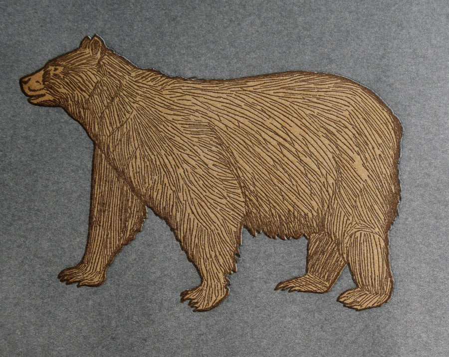 Black Bear Print
