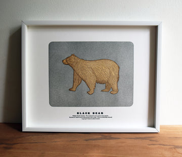 Black Bear Print