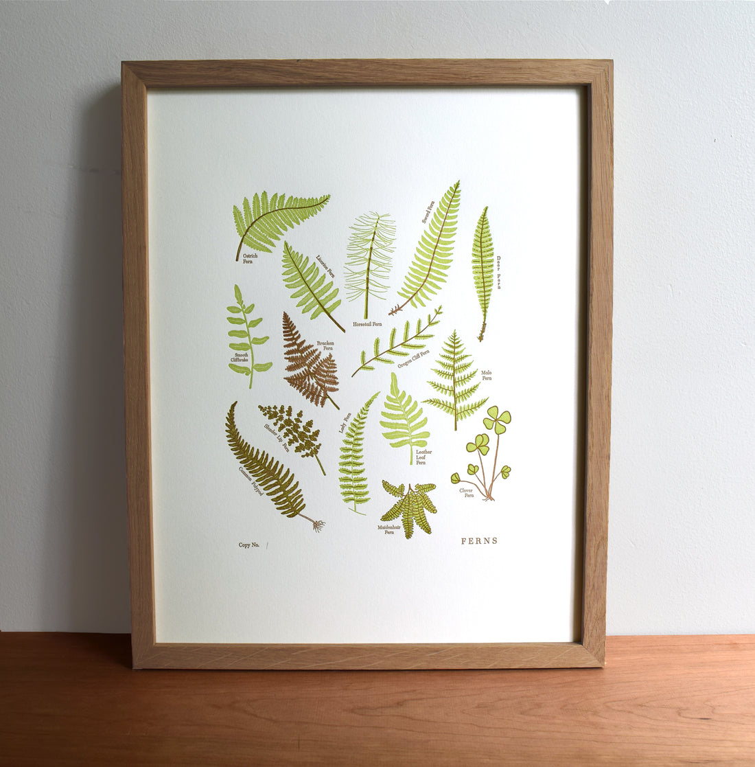 Ferns Print