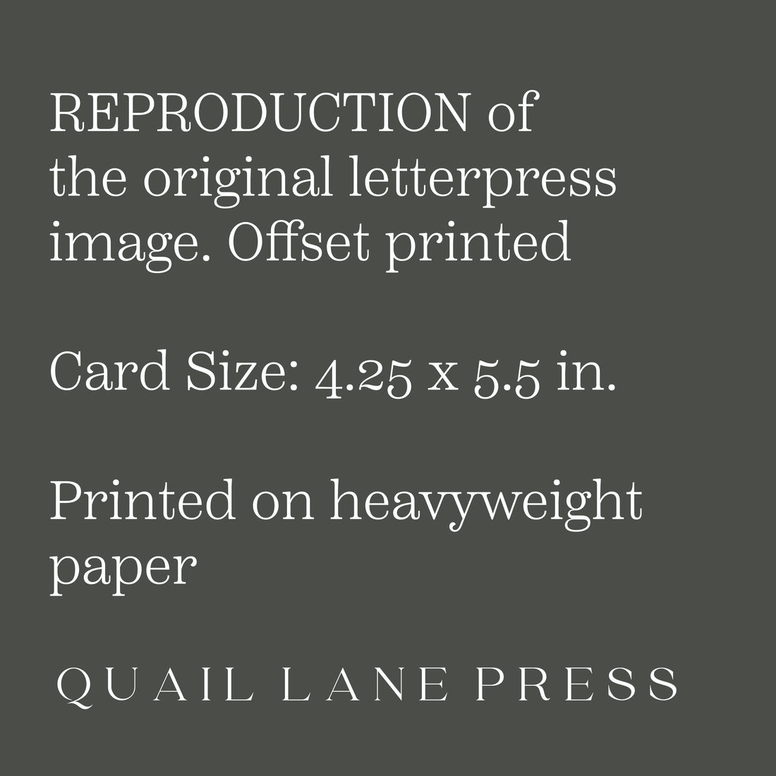 Mount Rainier, Summertime Card