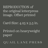 Mount Rainier, Summertime Card