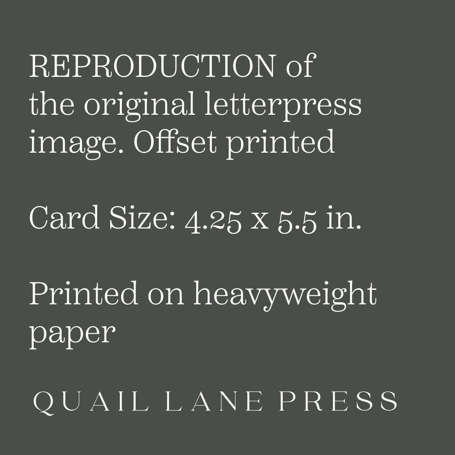 Mount Rainier, Summertime Card