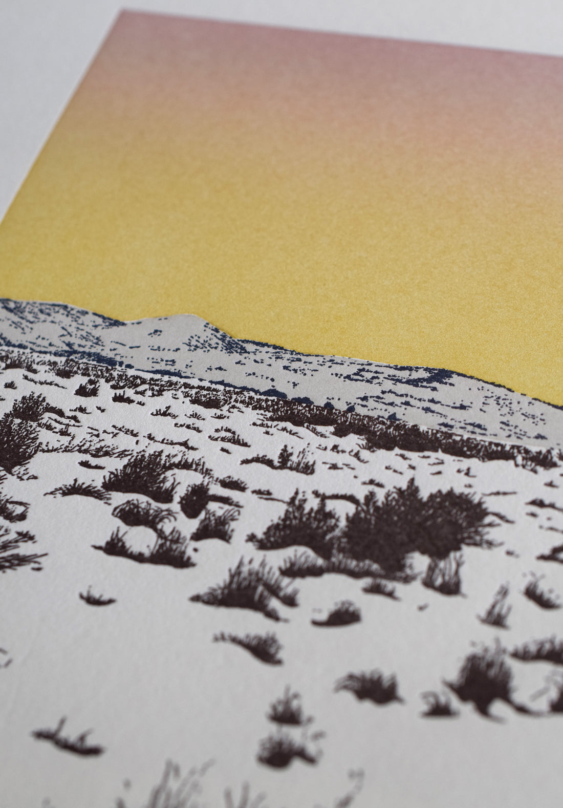 High Desert Winter