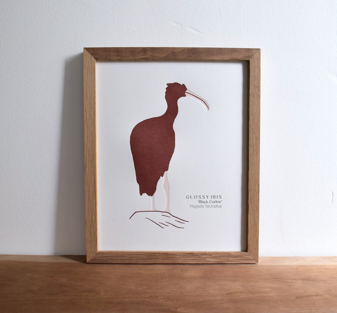 Ibis Print