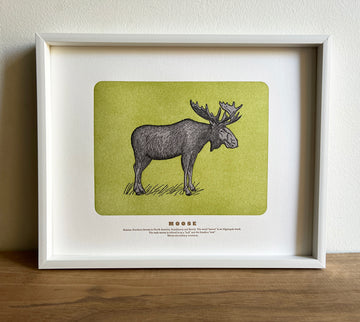 Moose Print