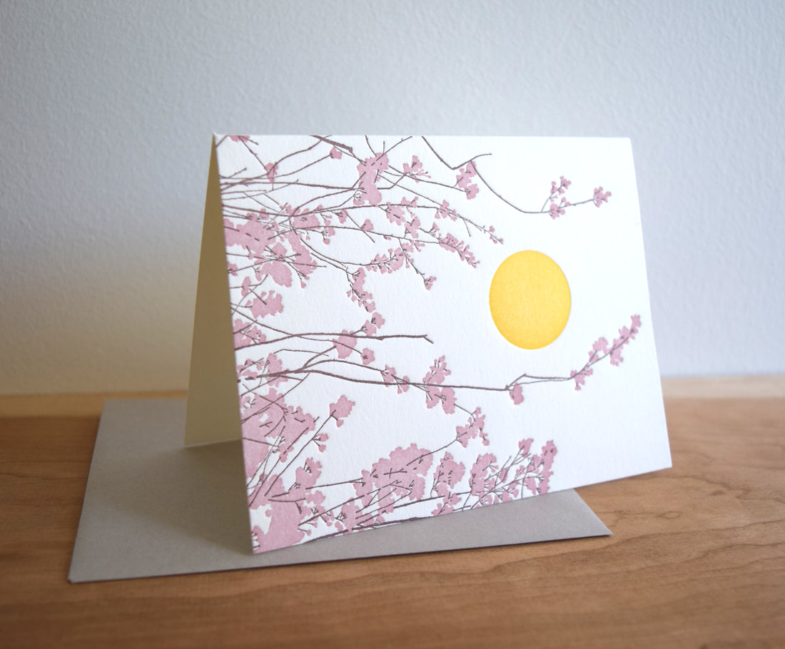 Cherry Blossoms Card