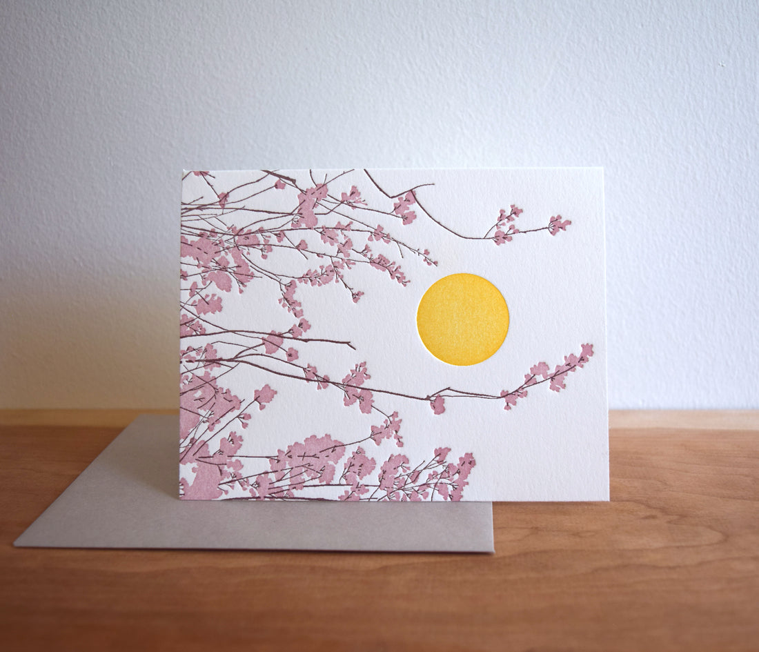 Cherry Blossoms Card