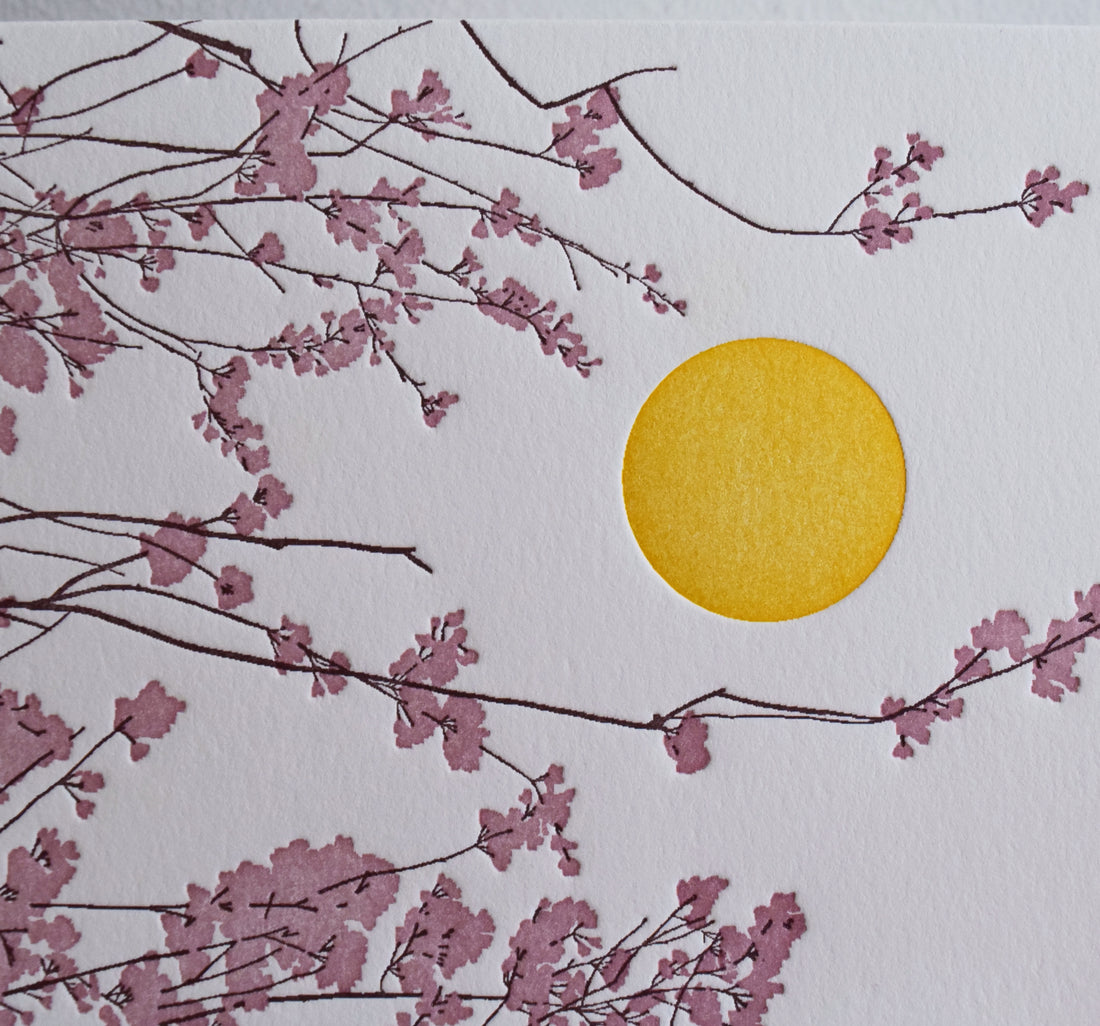 Cherry Blossoms Card