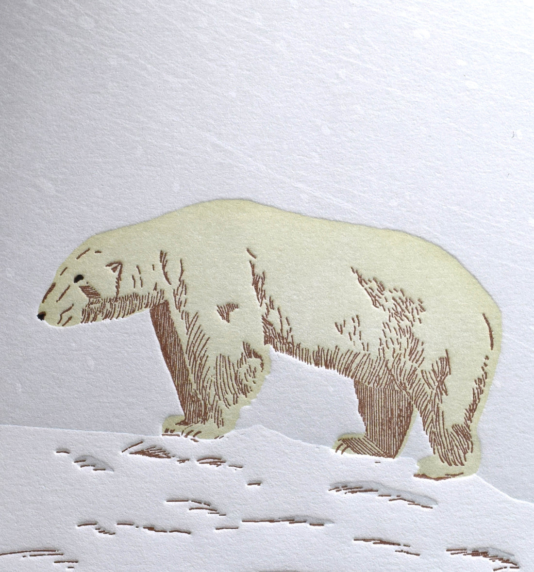 Polar Bear Card