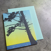 Sitka Spruce Card
