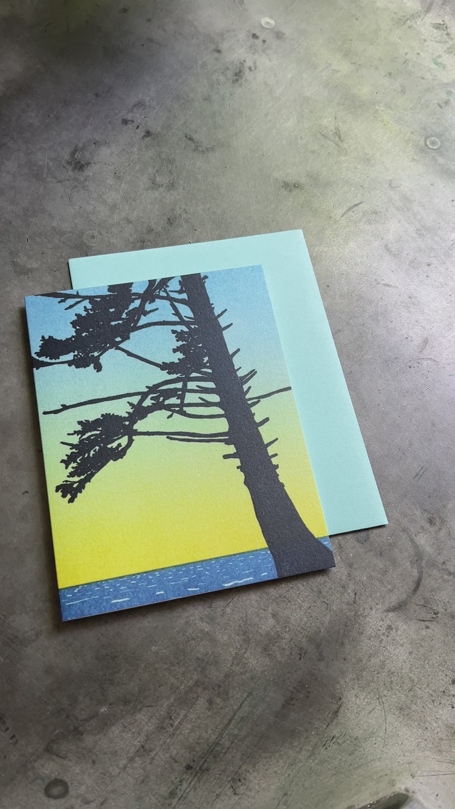 Sitka Spruce Card