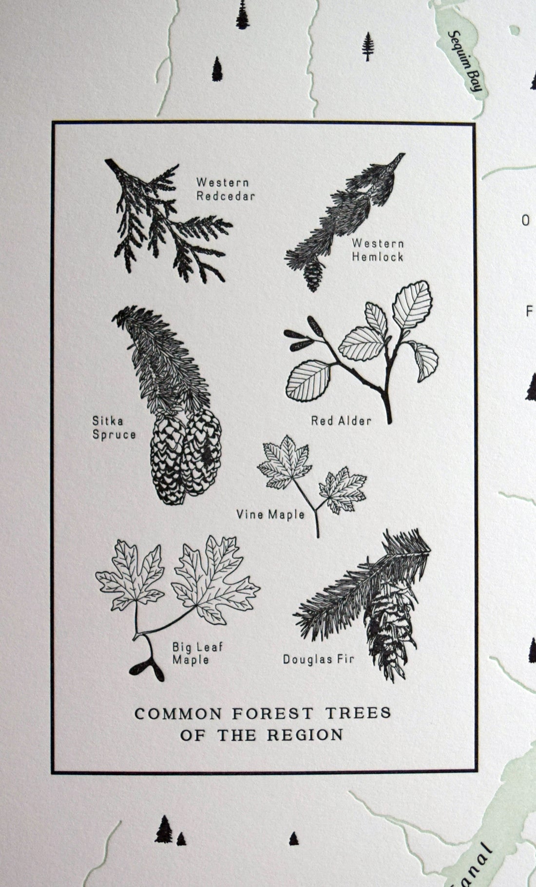 Puget Sound, Washington Letterpress Map