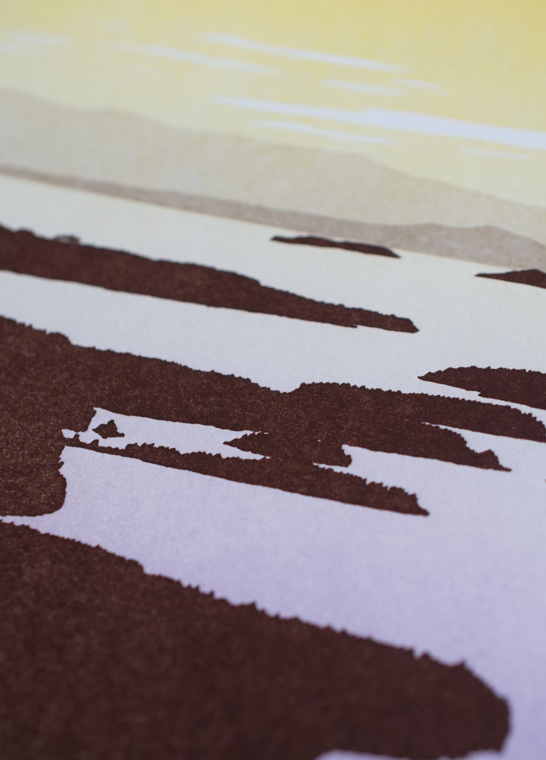 Salish Sea Print