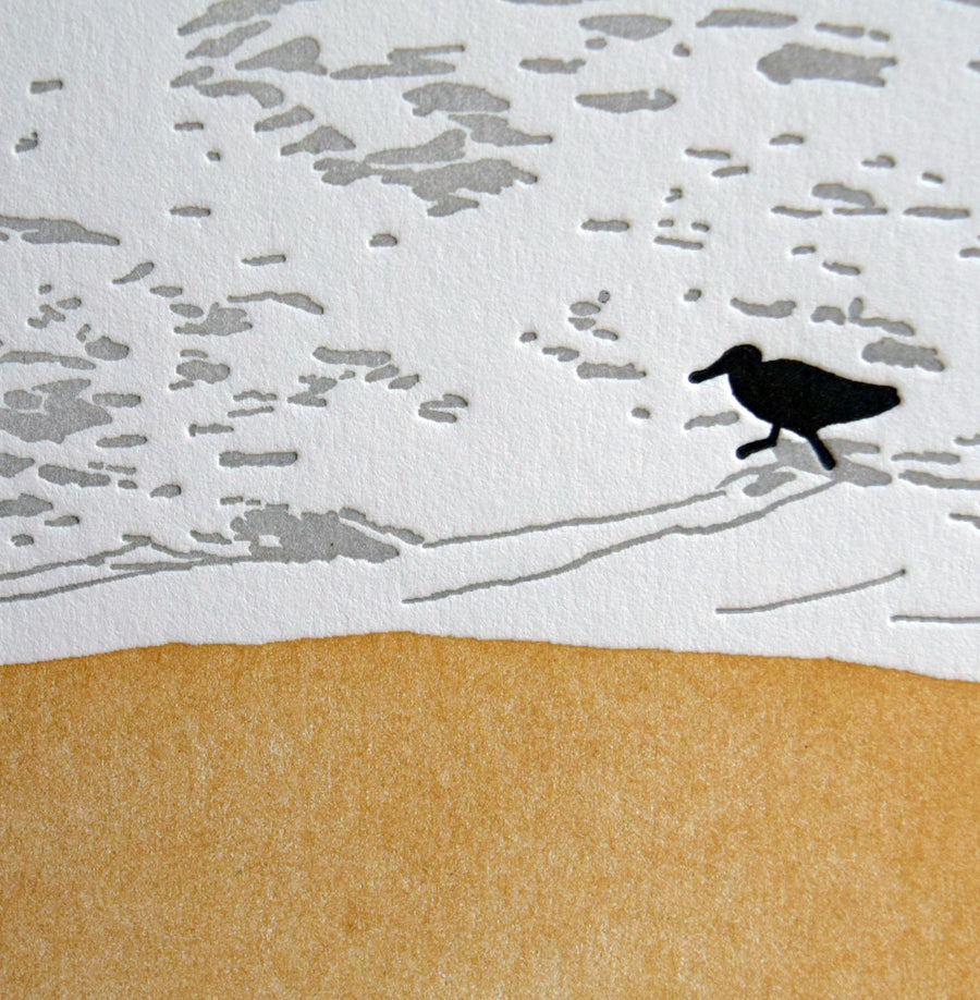 Seashore Sandpiper Card