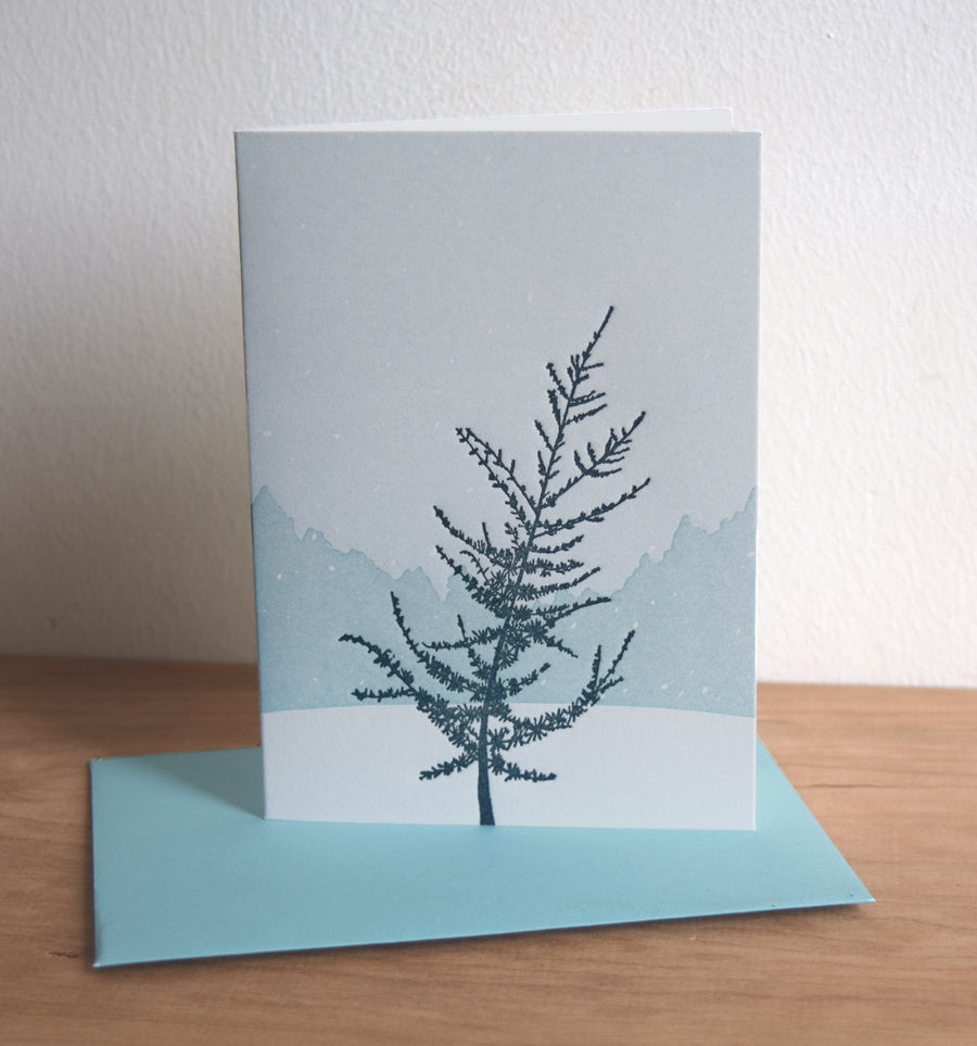 Snow on Cedar Card