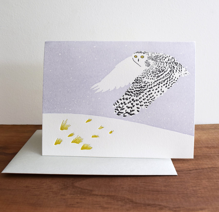 Snowy Owl on Tundra Card