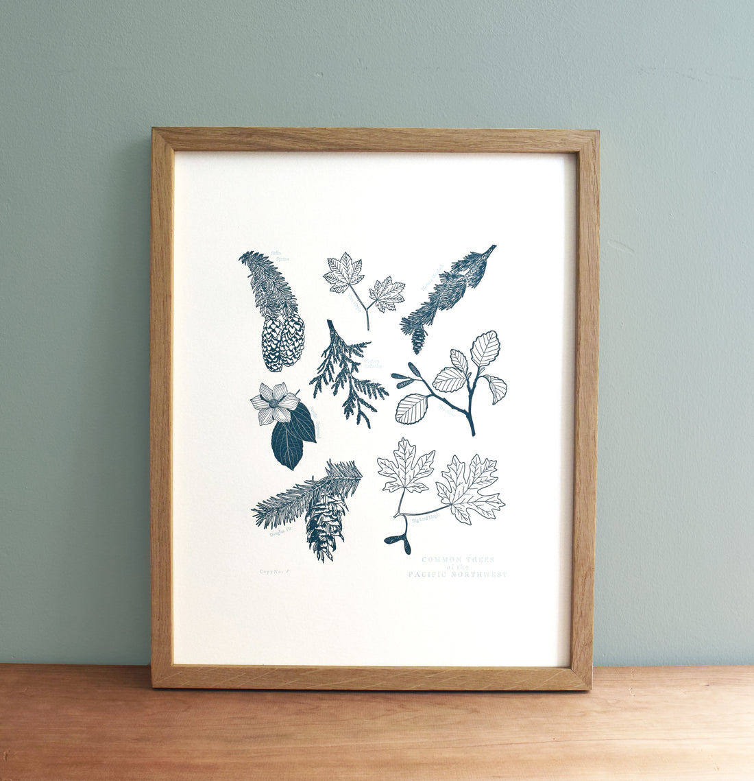 Pacific Northwest Tree Chart