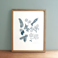 Pacific Northwest Tree Chart
