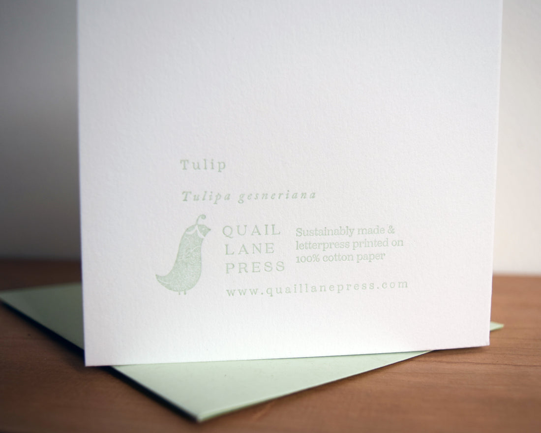 Tulips Card (Lavender)