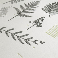 Pacific Northwest wall art letterpress print