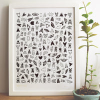 Hand-drawn framed letterpress printed moth chart alongside a tall succulent.  letterpress wall decor 