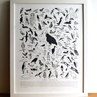 100 Birds Chart Illustrated Letterpress Print Framed 