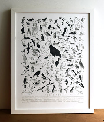 100 Birds Chart Illustrated Letterpress Print Framed 