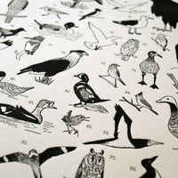 Hand-drawn Letterpress Bird Chart Closeup