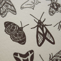 Detailed photo of letterpress print depicting moth varieties in black ink