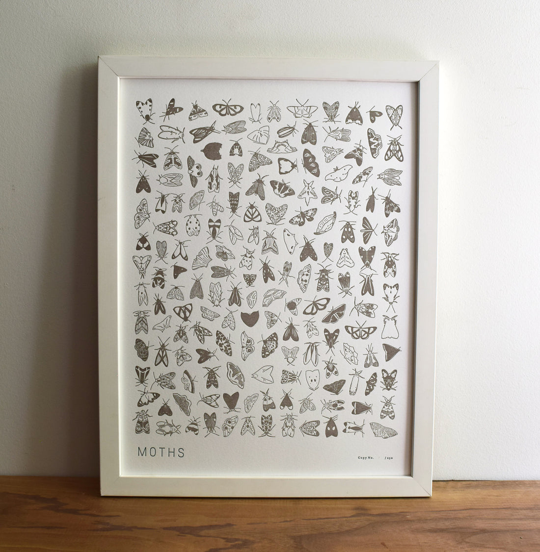 Framed artwork on maple tabletop.  Letterpress print depicting many species of moths.  Hand-drawn and hand-printed