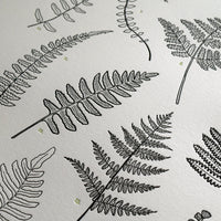 Letterpress art pacific northwest fern print