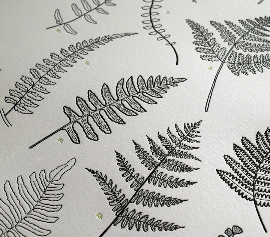Letterpress art pacific northwest fern print